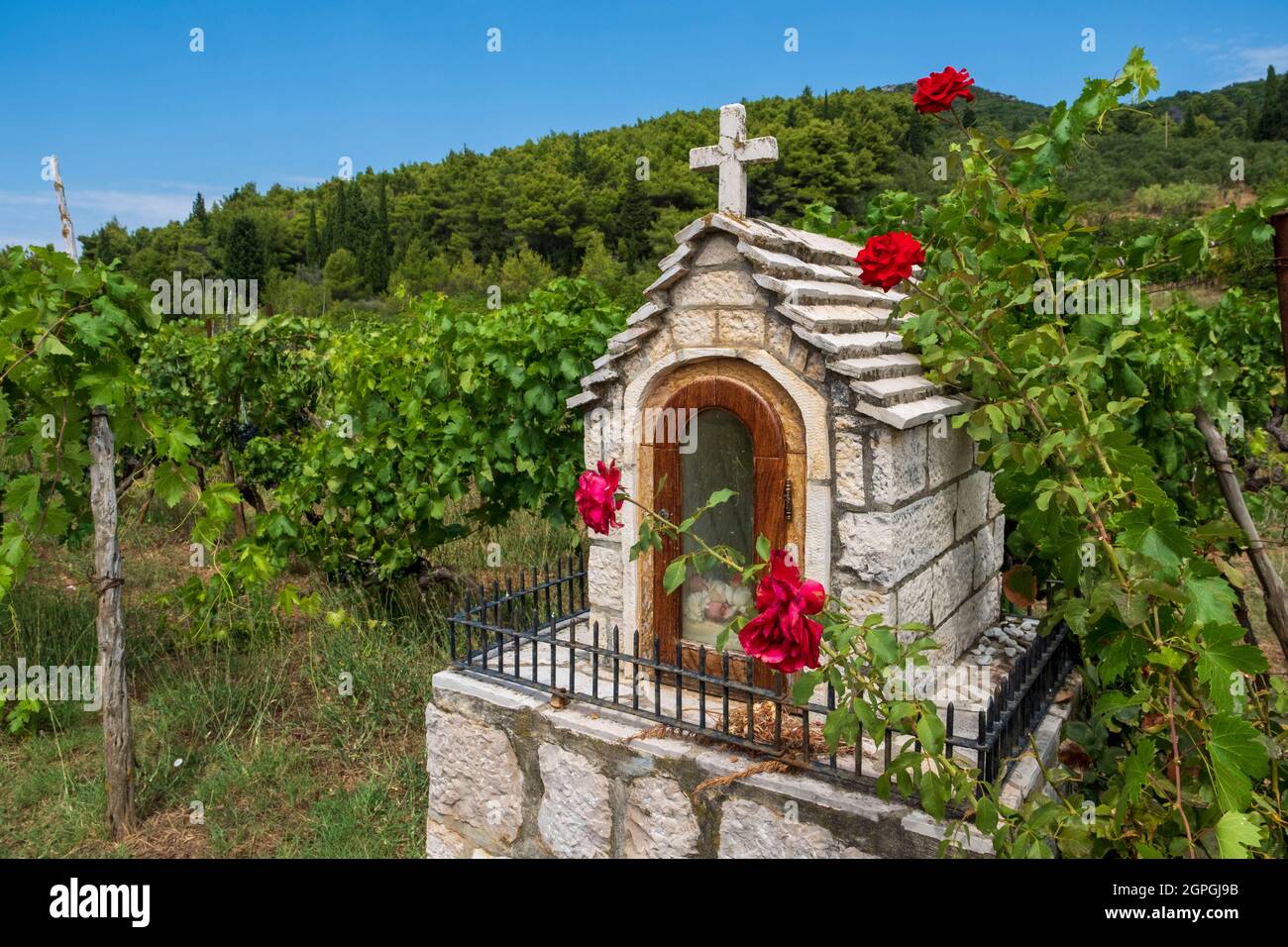 Croatie, Dalmatie, Iles Elaphites, Ile de Sipan, Sudurad, vignobles, petite chapelle Banque D'Images