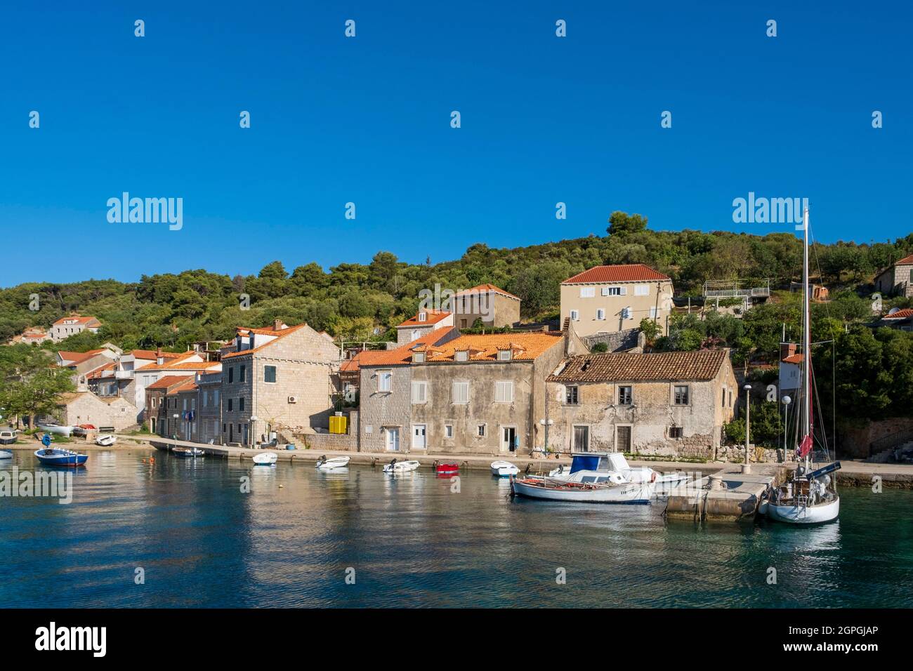Croatie, Dalmatie, Iles Elaphites, Ile de Sipan, le port de Sudurad Banque D'Images