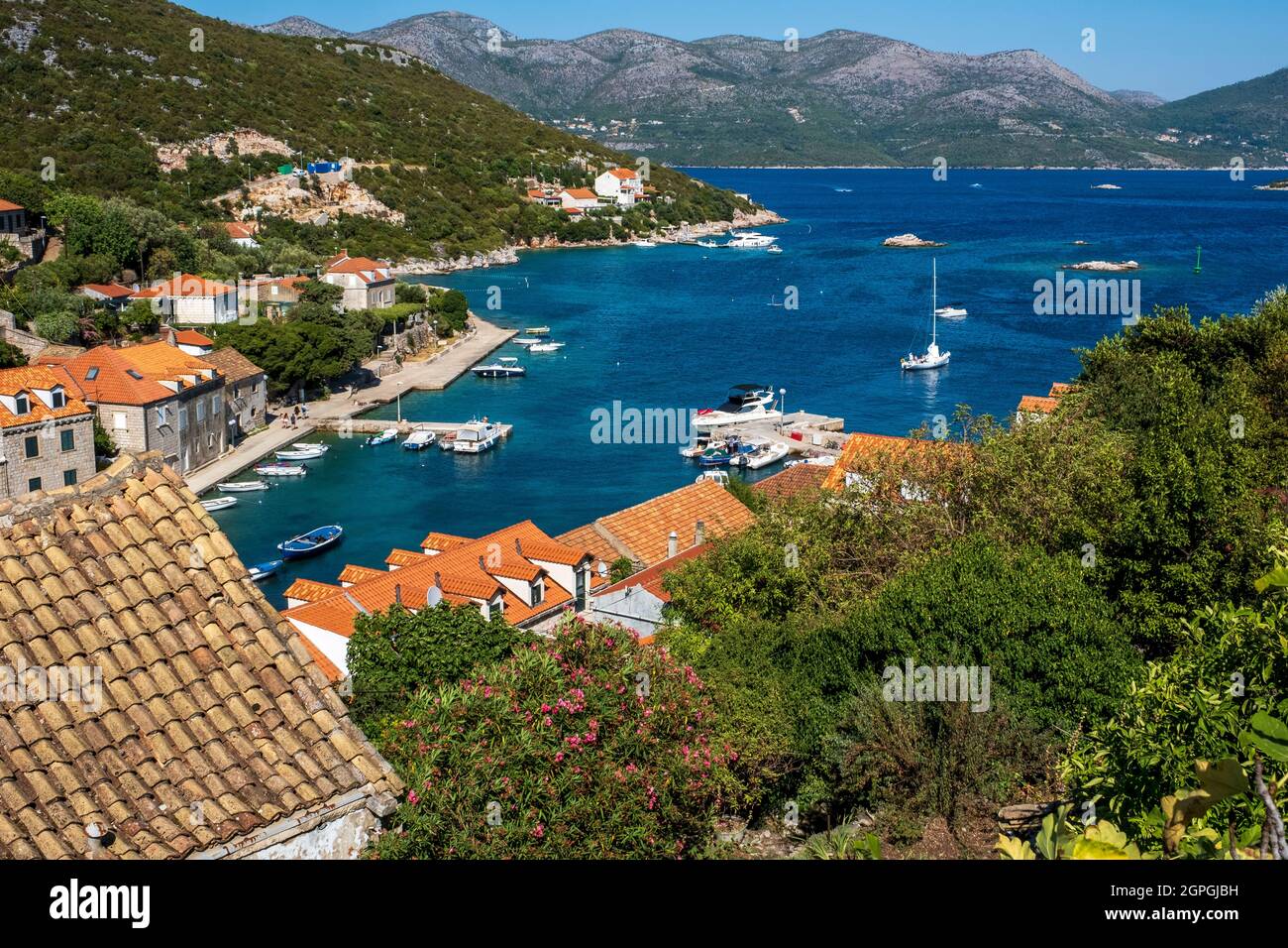 Croatie, Dalmatie, Iles Elaphites, Ile de Sipan, le port de Sudurad Banque D'Images