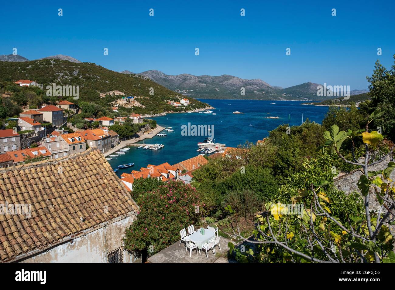 Croatie, Dalmatie, Iles Elaphites, Ile de Sipan, le port de Sudurad Banque D'Images