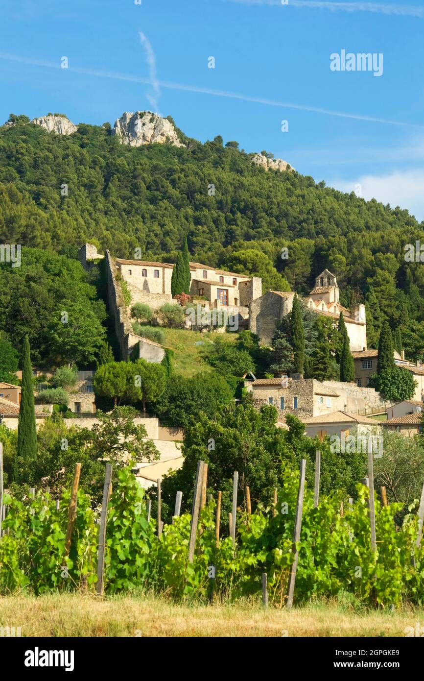 France, Vaucluse, Dentelles de Montmirail, Gigondas, village et vignoble de Gigondas au pied des Dentelles de Montmirail Banque D'Images