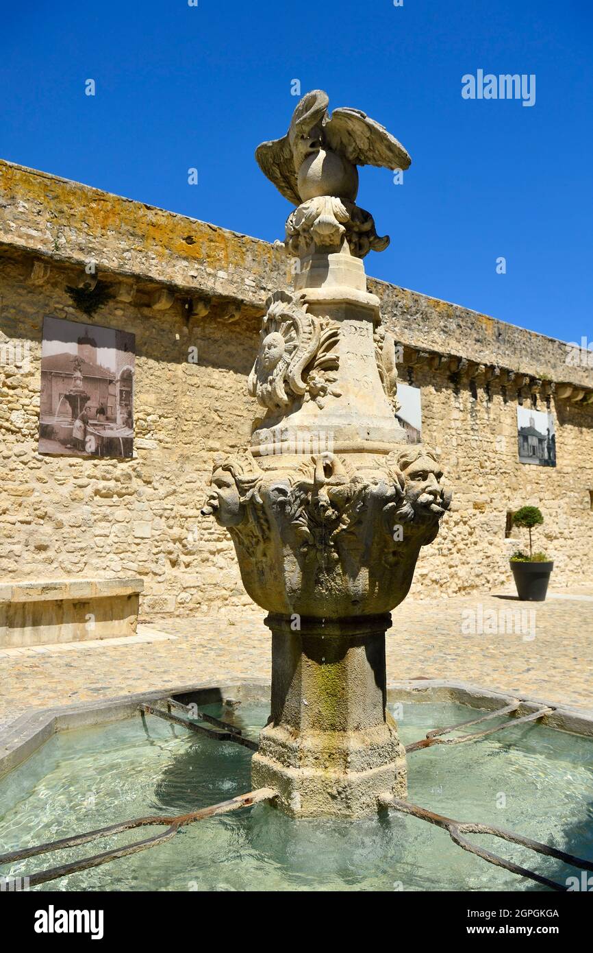 France, Vaucluse, Pernes les Fontaines, place du Cormoran, porte notre Dame du XVIe siècle et fontaine Cormorant de 1761 Banque D'Images