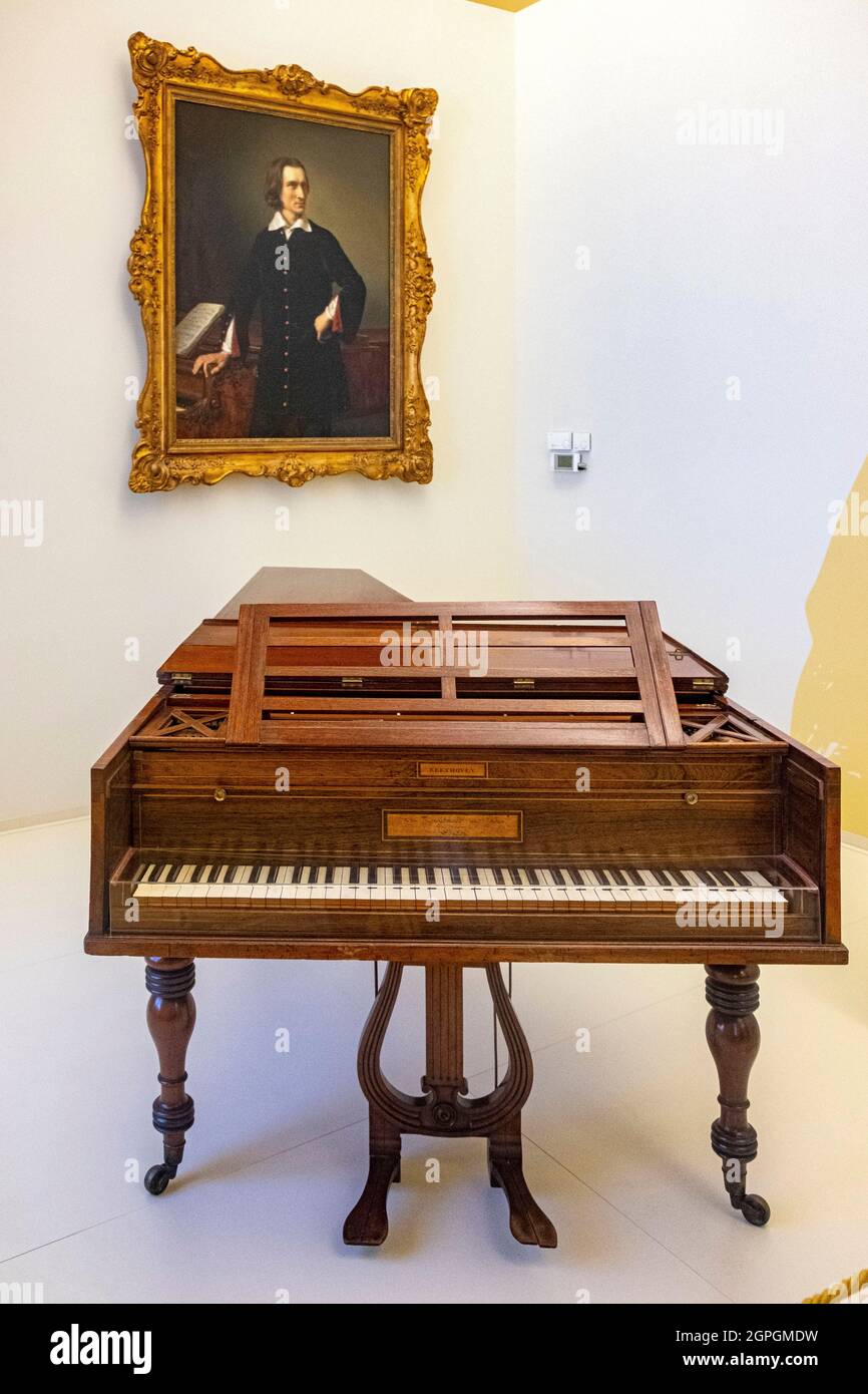 Hongrie, Budapest, classée au patrimoine mondial de l'UNESCO, quartier Pest, Musée national hongrois (Magyar Nemzeti Muzeum), piano et portrait de Franz (Ferenc) Liszt (1811 1886) Banque D'Images
