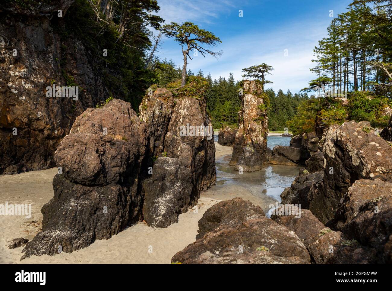 Magnifique baie San Josef, parc provincial Cape Scott, île de Vancouver, C.-B., Canada Banque D'Images