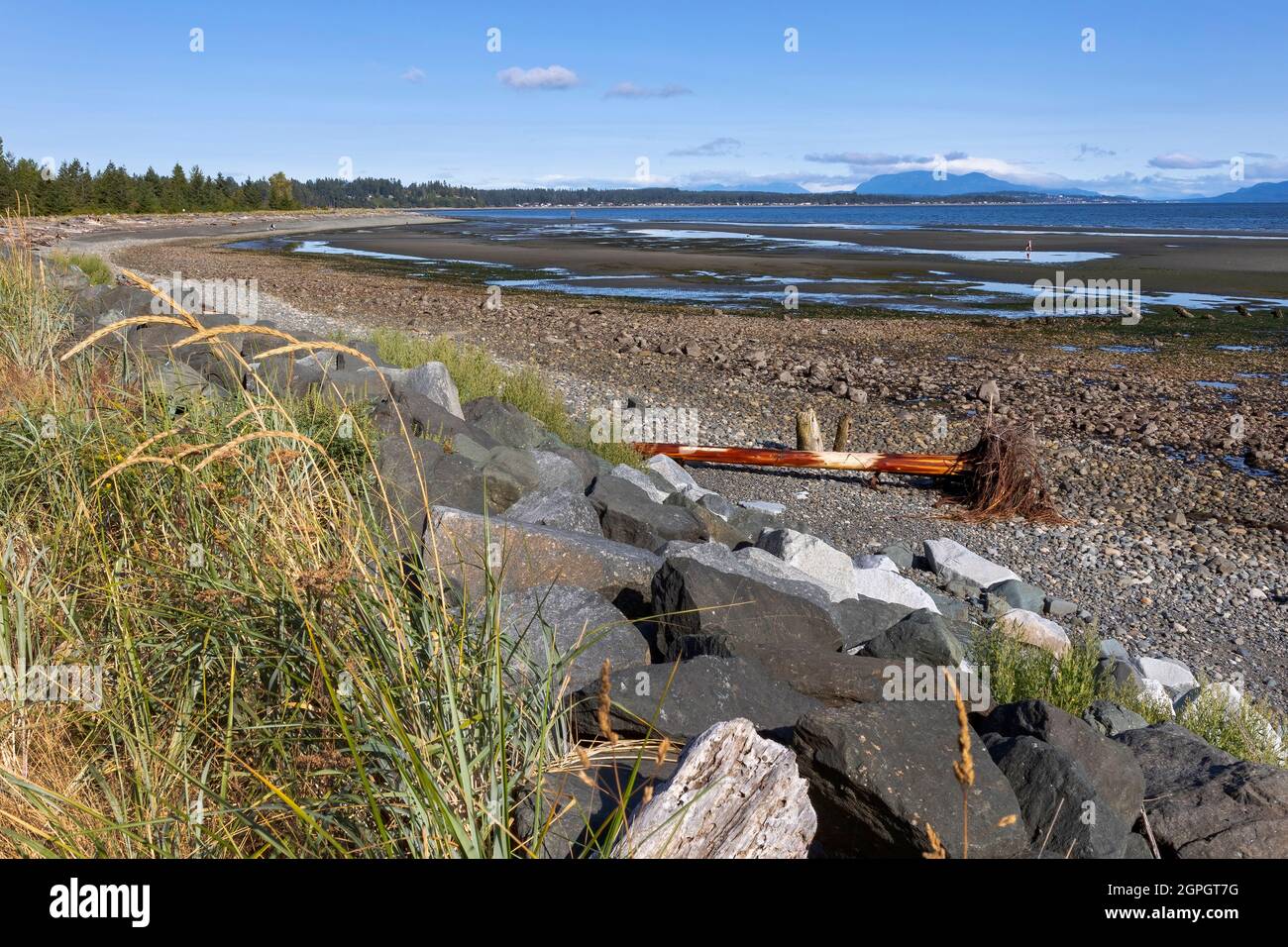 Vues sur la côte à Oyster Bay - Campbell River, île de Vancouver, Colombie-Britannique, Canada Banque D'Images