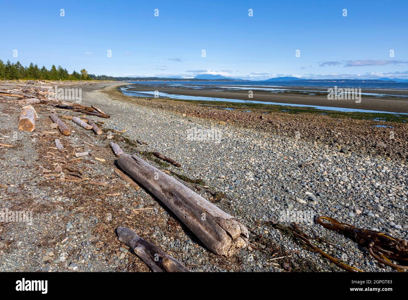 Vues sur la côte à Oyster Bay - Campbell River, île de Vancouver, Colombie-Britannique, Canada Banque D'Images