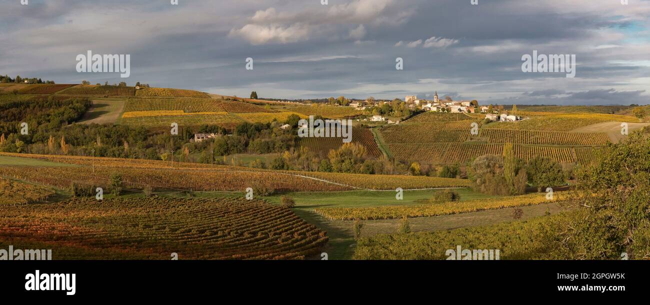 France, Tarn, Campagnac, vignoble de Gaillac Banque D'Images