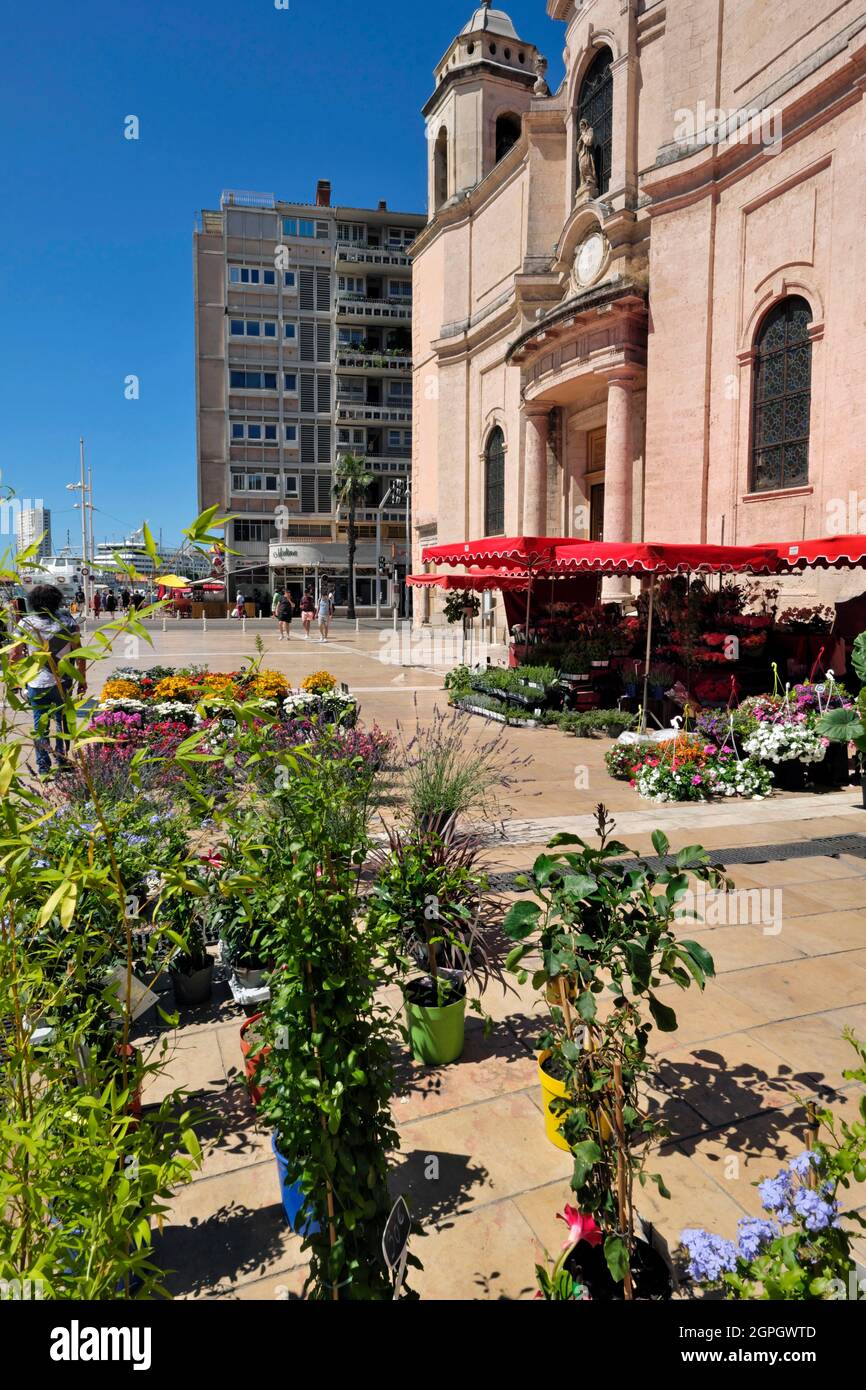 France, Var, Toulon, cours Lafayette, devant l'église Saint François de Paule, le marché Banque D'Images