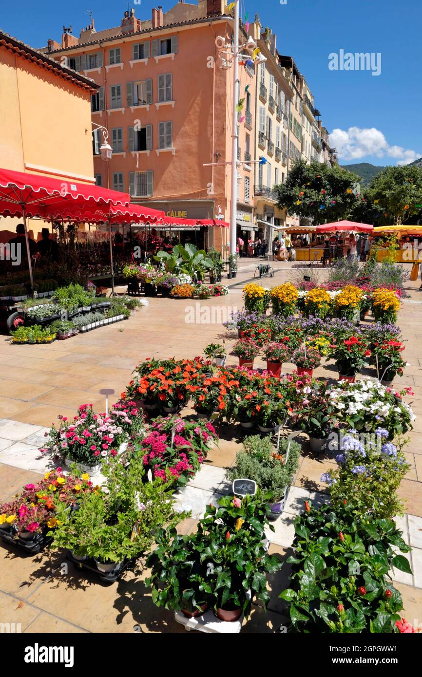 France, Var, Toulon, cours Lafayette, devant l'église Saint François de Paule, le marché Banque D'Images