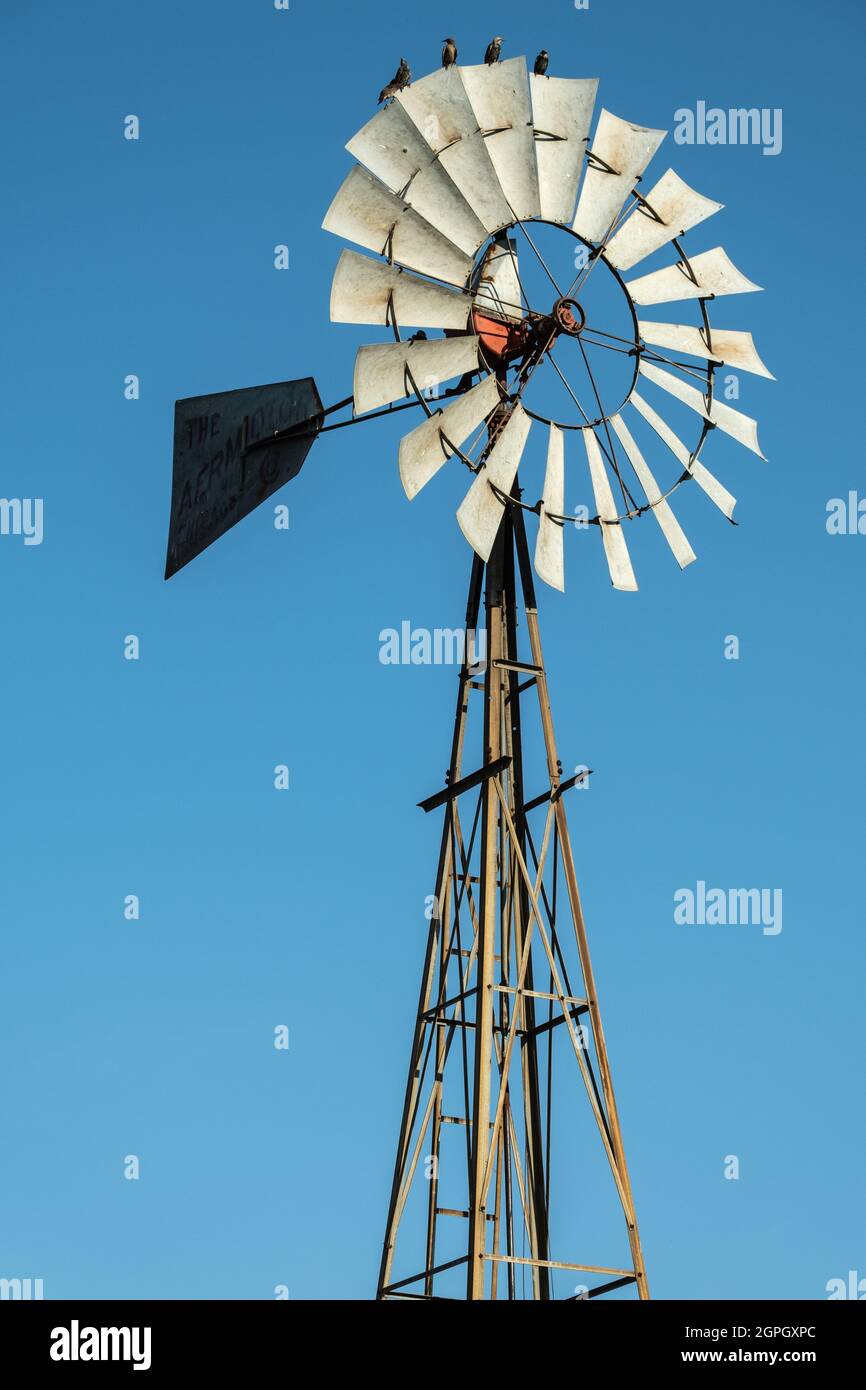 Pompe à eau à moulin à vent utilisée pour pomper l'eau souterraine jusqu'à  la surface pour le stockage et l'utilisation dans l'agriculture,  l'agriculture et l'élevage en ranch Photo Stock - Alamy