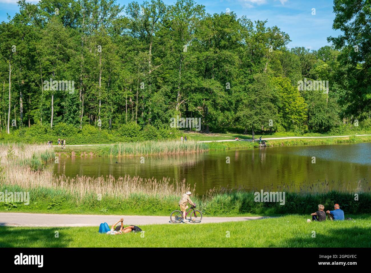 France, Val d'Oise, Saint-Prix, lac du Château de la chasse, Forêt de Montmorency Banque D'Images
