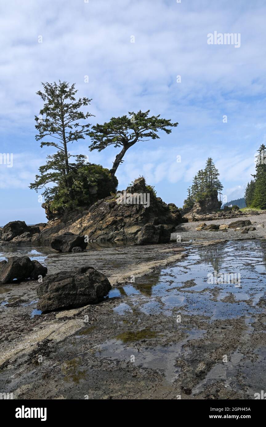 Formations rocheuses et phare éloigné sur la plage du West Coast Trail, île de Vancouver, Canada. Banque D'Images