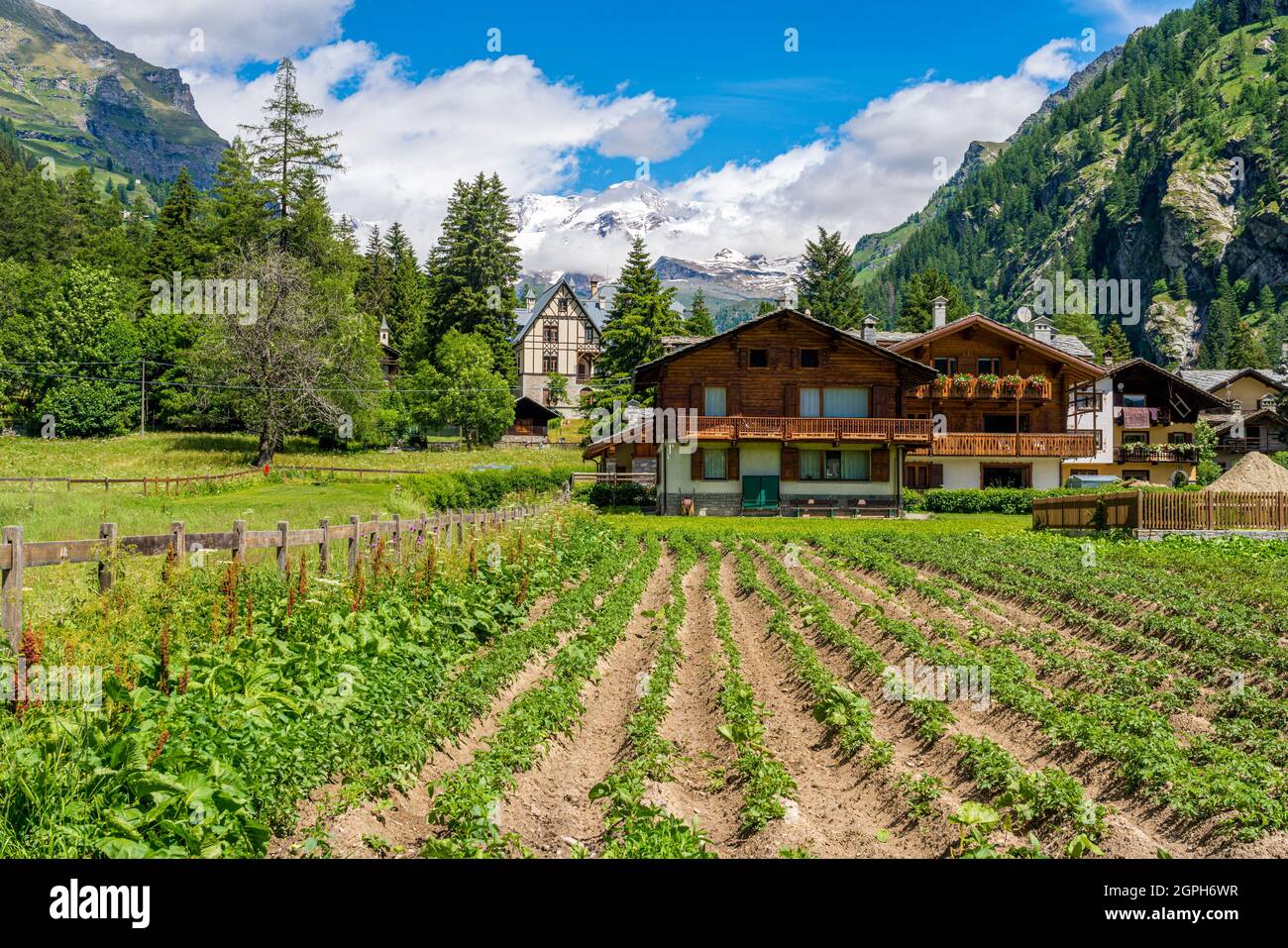 Vue d'été idyllique à Gressoney-Saint-Jean avec la Monterosa en arrière-plan. Dans la vallée de Lys. Vallée d'Aoste, nord de l'Italie. Banque D'Images