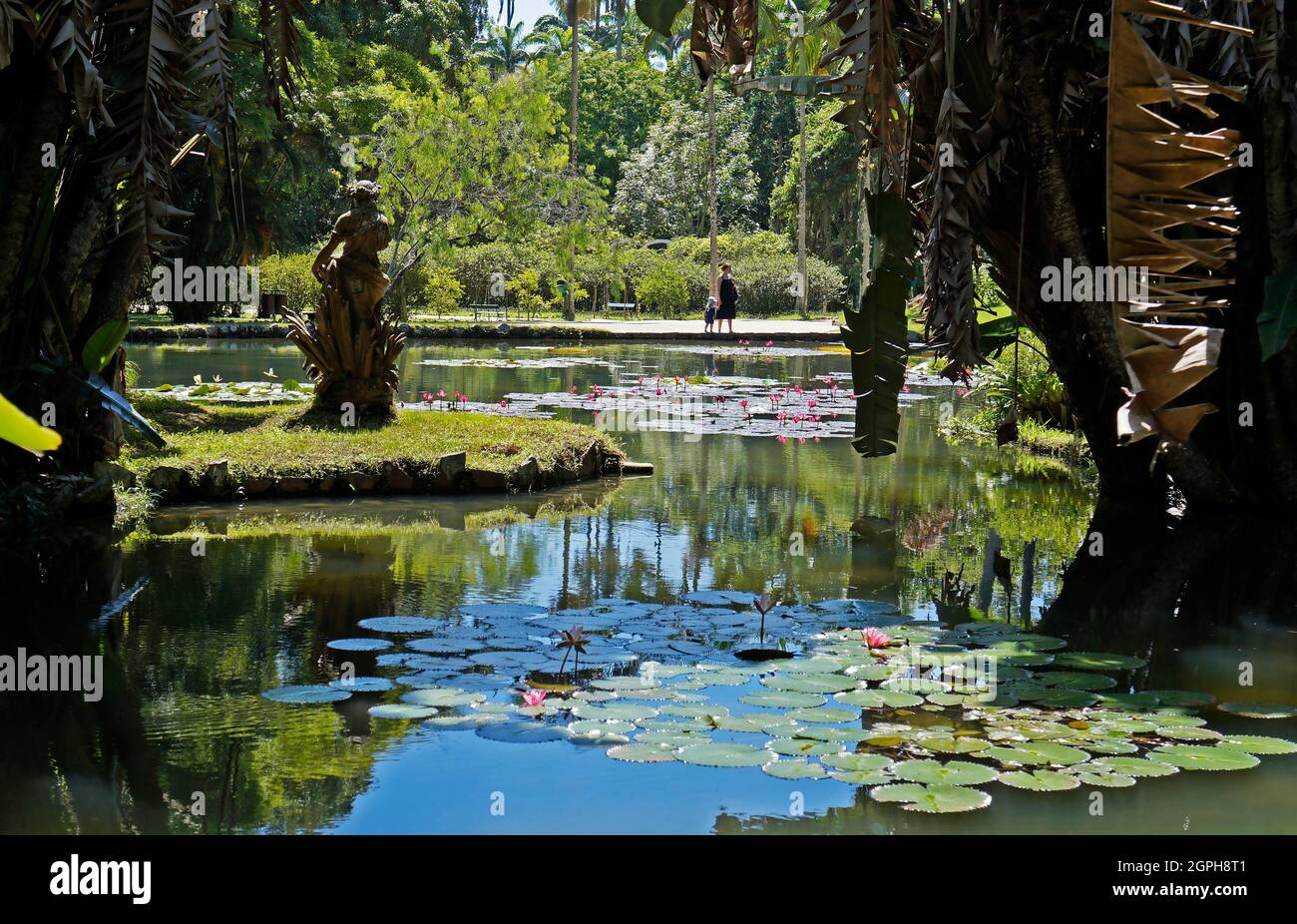RIO DE JANEIRO, BRÉSIL - 8 FÉVRIER 2020 : vue partielle sur le lac dans le jardin botanique de Rio de Janeiro Banque D'Images