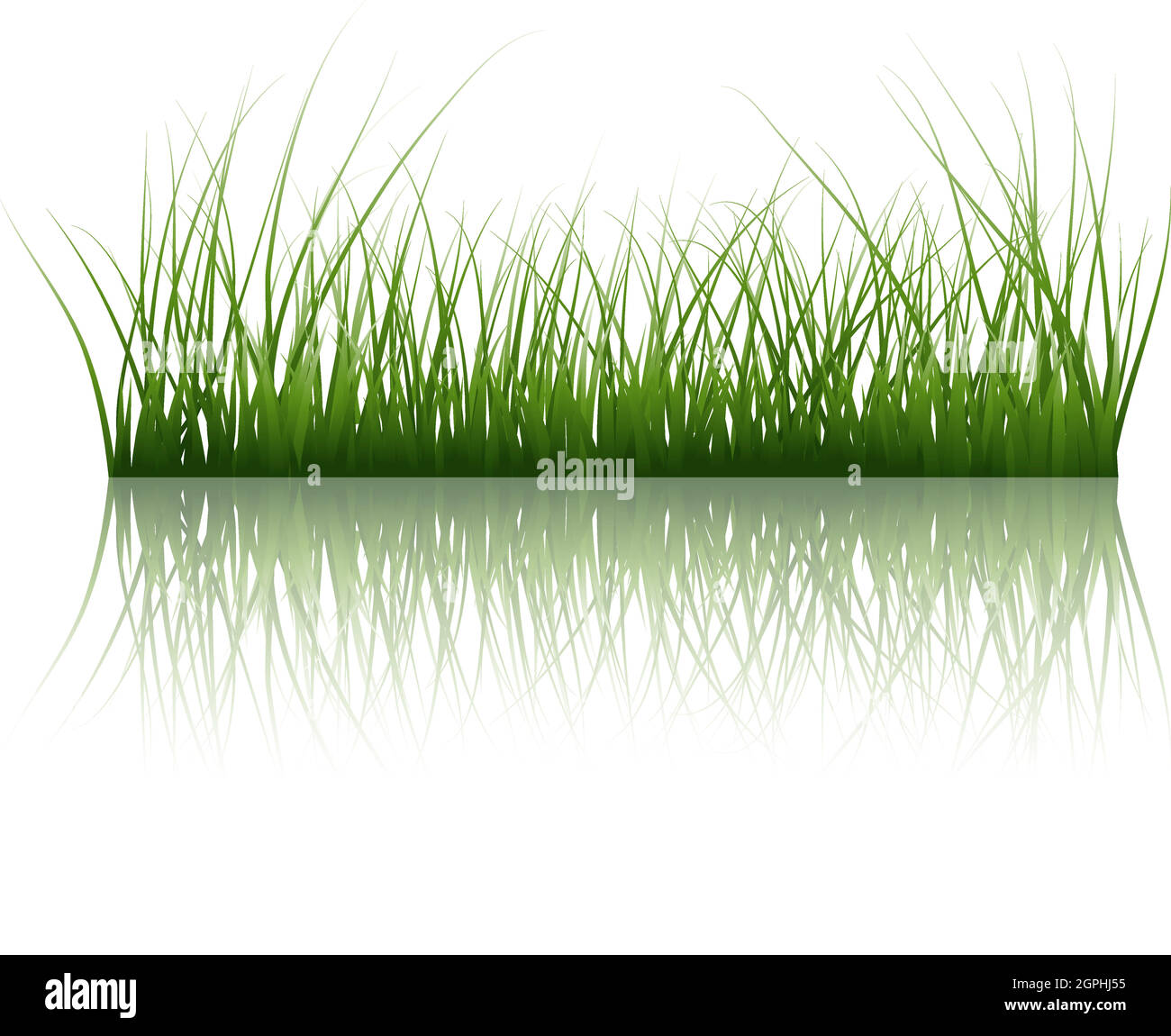 l’herbe sur l’eau Illustration de Vecteur