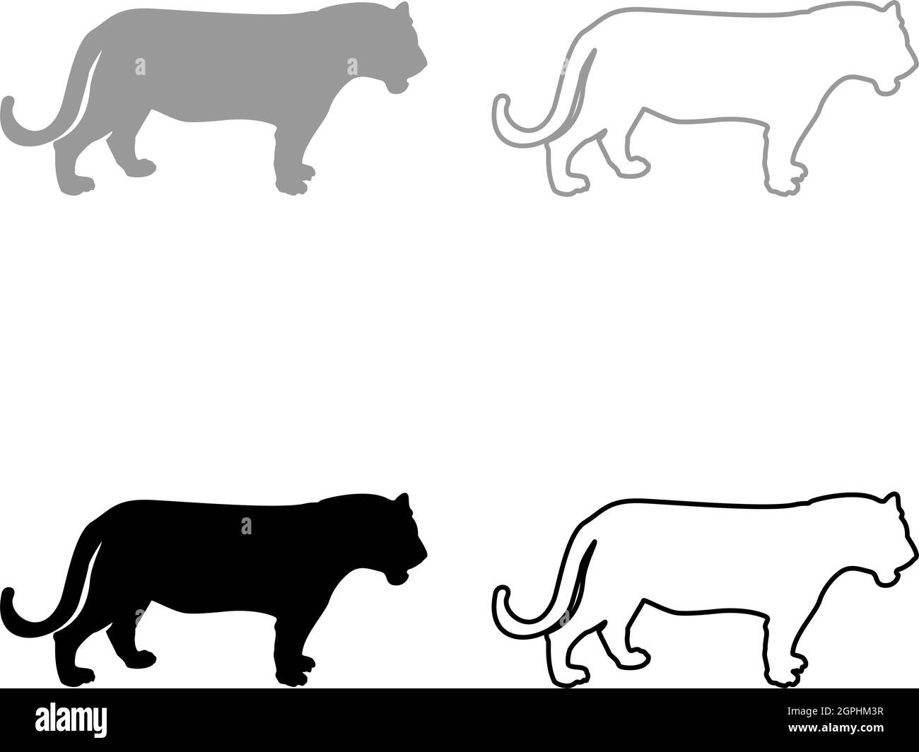 Image de style de contour Uni de l'illustration de vecteur de couleur gris silhouette de tigre Illustration de Vecteur