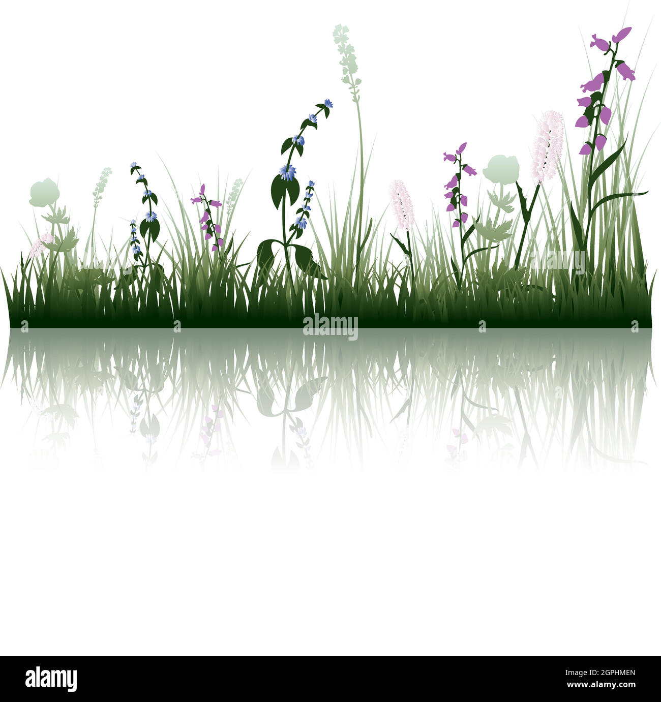 l’herbe sur l’eau Illustration de Vecteur