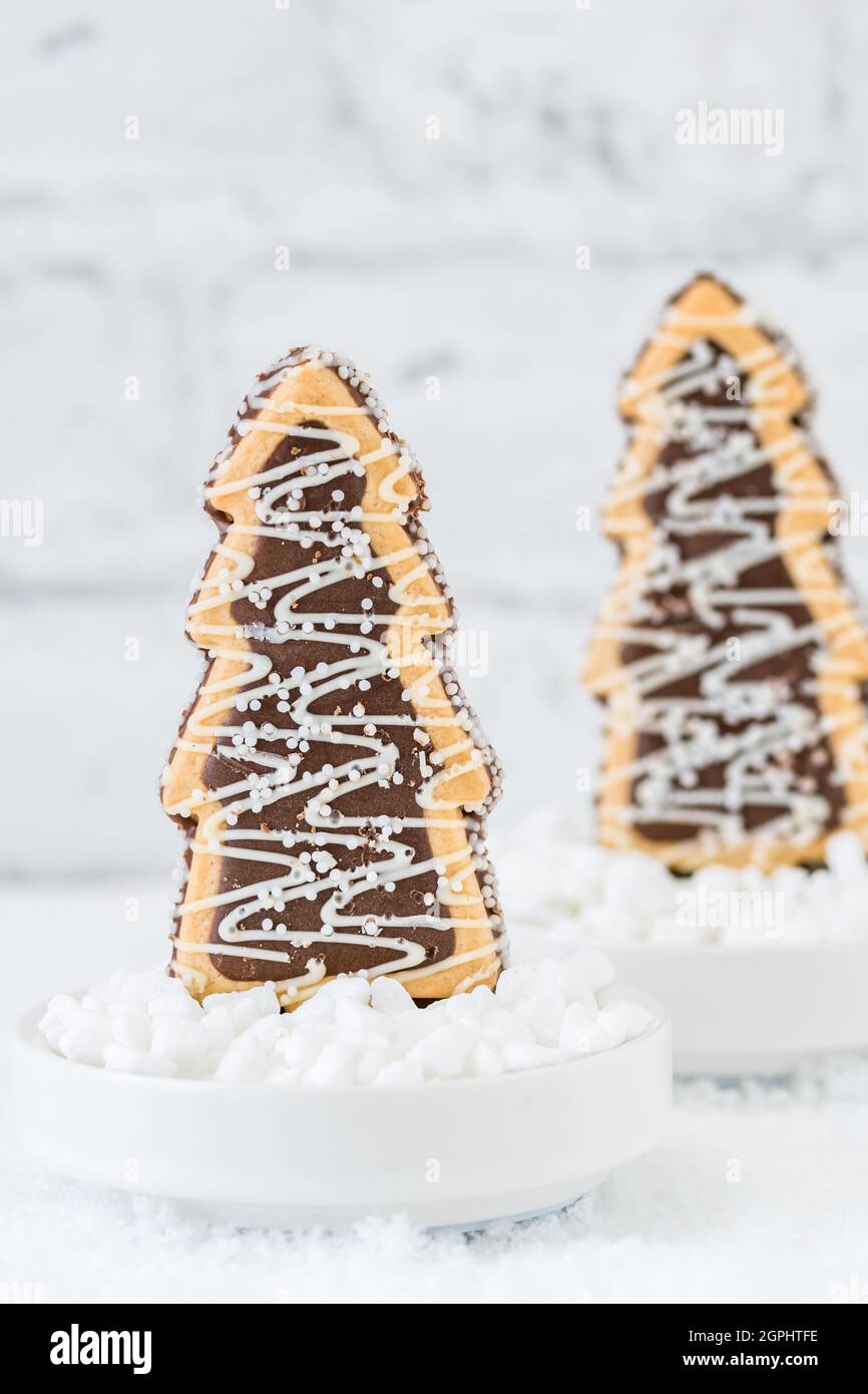 Deux biscuits en forme d'arbres de noël avec glaçage au chocolat et au sucre dans des bols avec du sucre grossier sur fond blanc, vertical avec espace de copie Banque D'Images