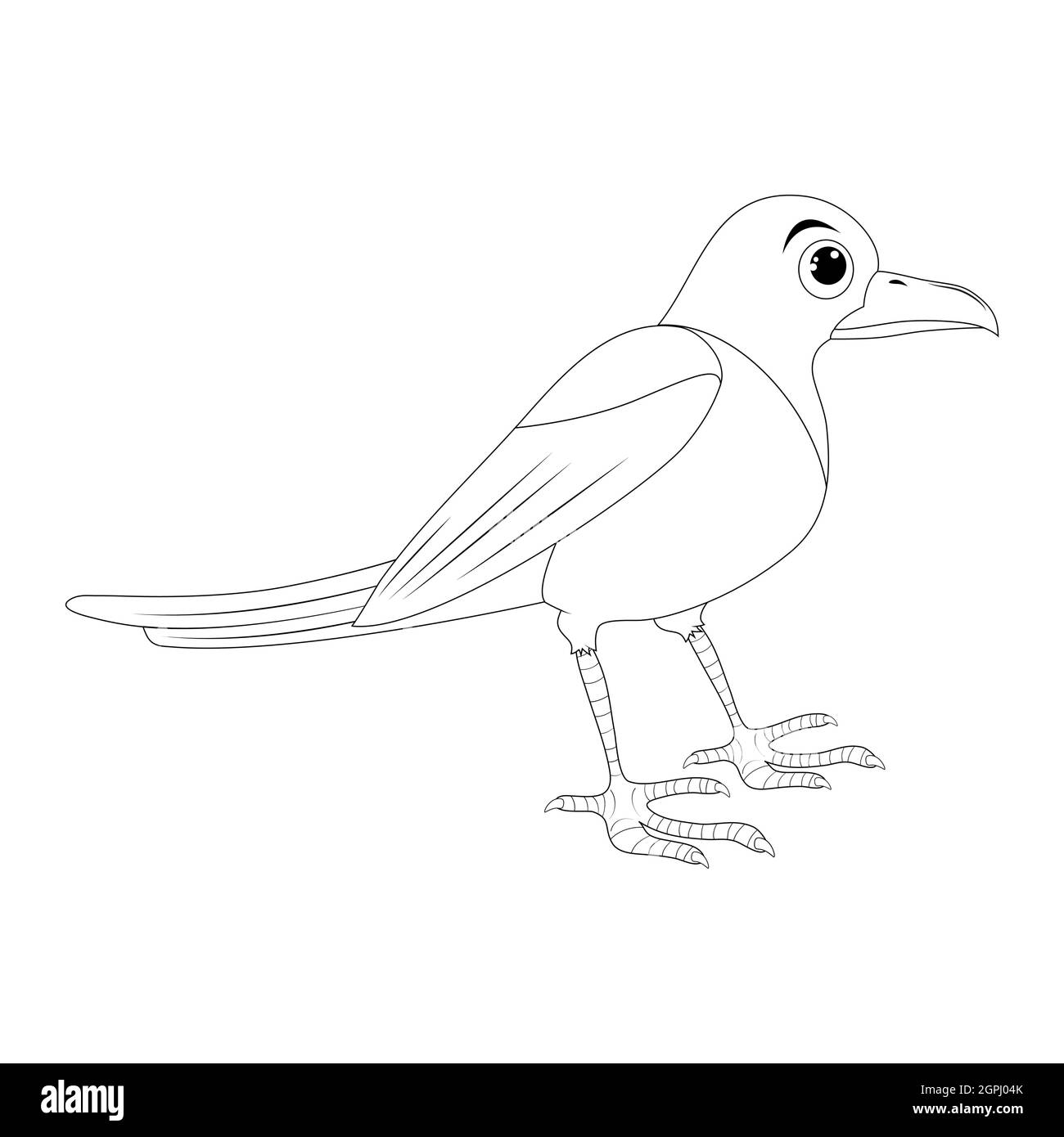 Jeu d'illustrations pour le contour de l'oiseau Magpie . Motif ornithologie animal de corbeau debout. Clip art vectoriel isolé sur fond blanc. Illustration de Vecteur