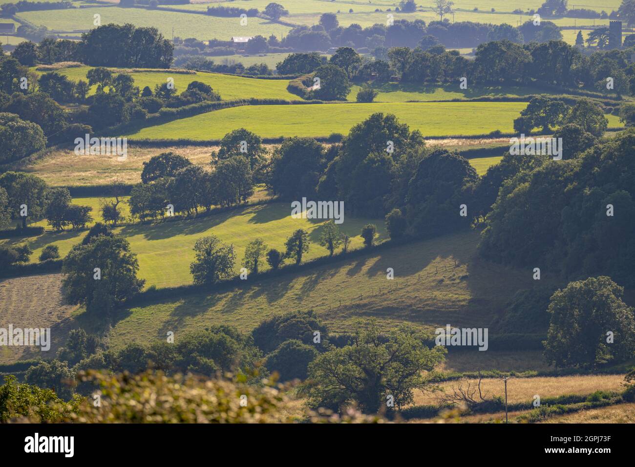 En regardant à travers les terres agricoles de Deerbap sur les collines de Mendip Somerset Banque D'Images