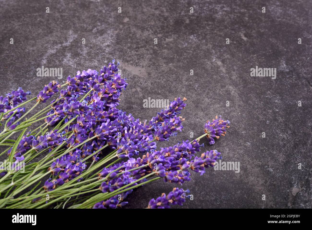 Vue de dessus du bouquet de fleurs de lavande fraîches sur fond de pierre noire, espace de copie pour votre texte Banque D'Images