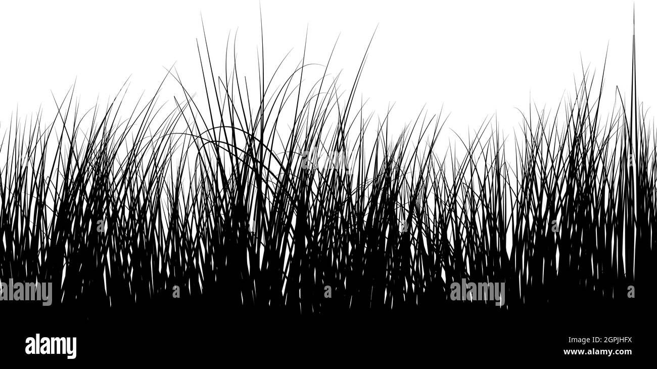 Sans coutures Meadow Grass Illustration de Vecteur