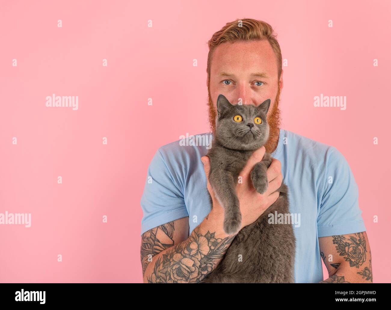 Chat De Tatouage Banque D Image Et Photos Alamy