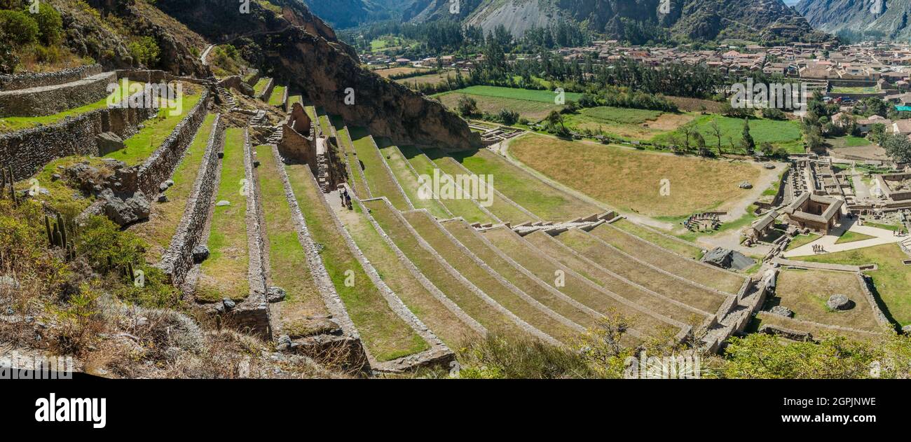 Terrasses agricoles des ruines incas d'Ollantaytambo, Vallée Sacrée des Incas, Pérou Banque D'Images