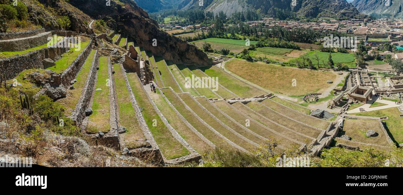 Terrasses Agricoles Des Ruines Incas D Ollantaytambo Vall e Sacr e Des 