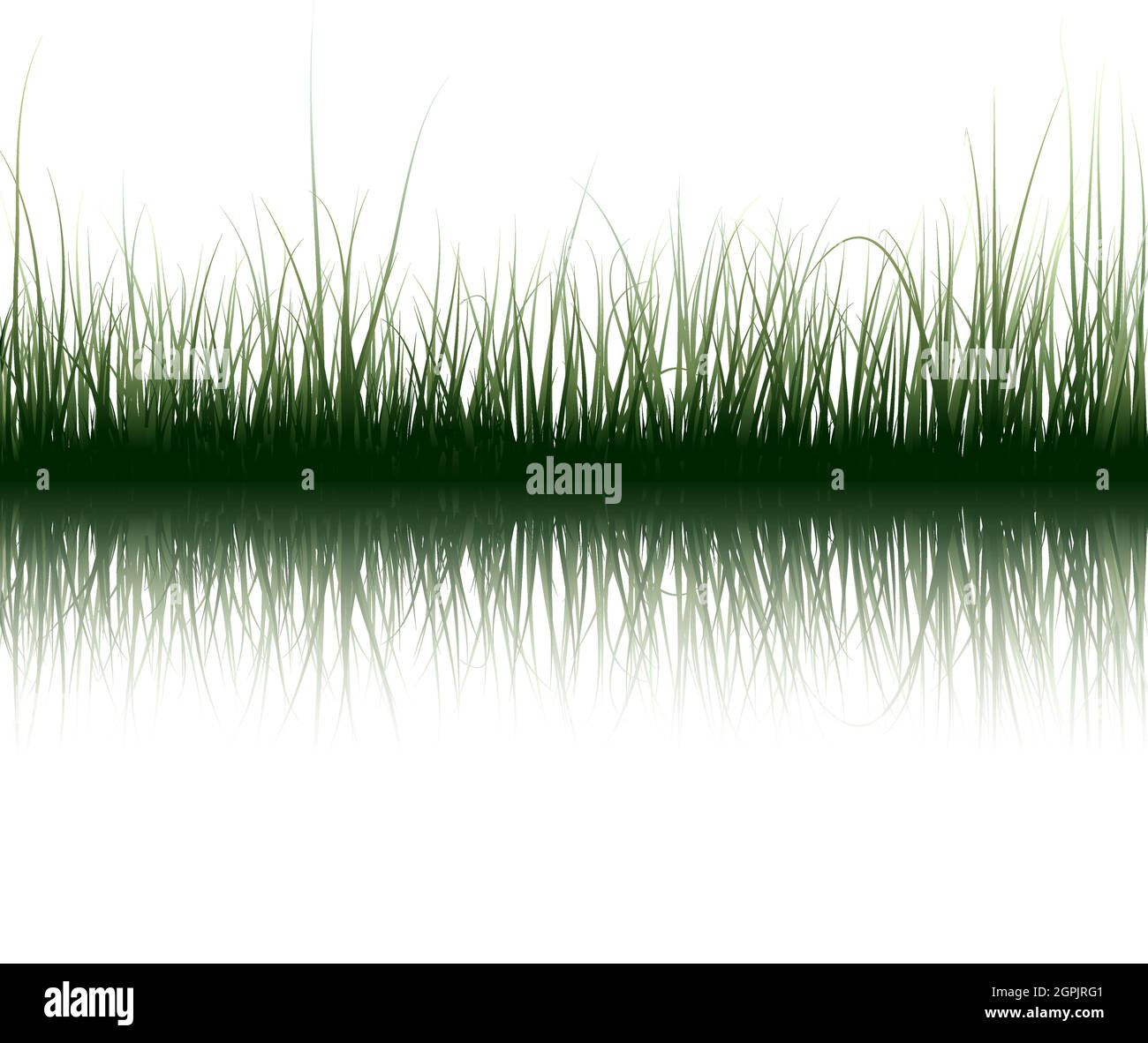 Herbe sur l’eau Illustration de Vecteur