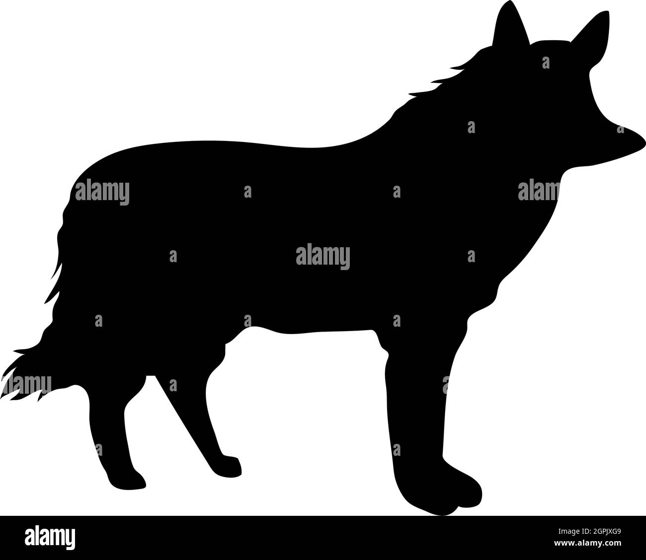 Silhouette de loup rouge Illustration de Vecteur