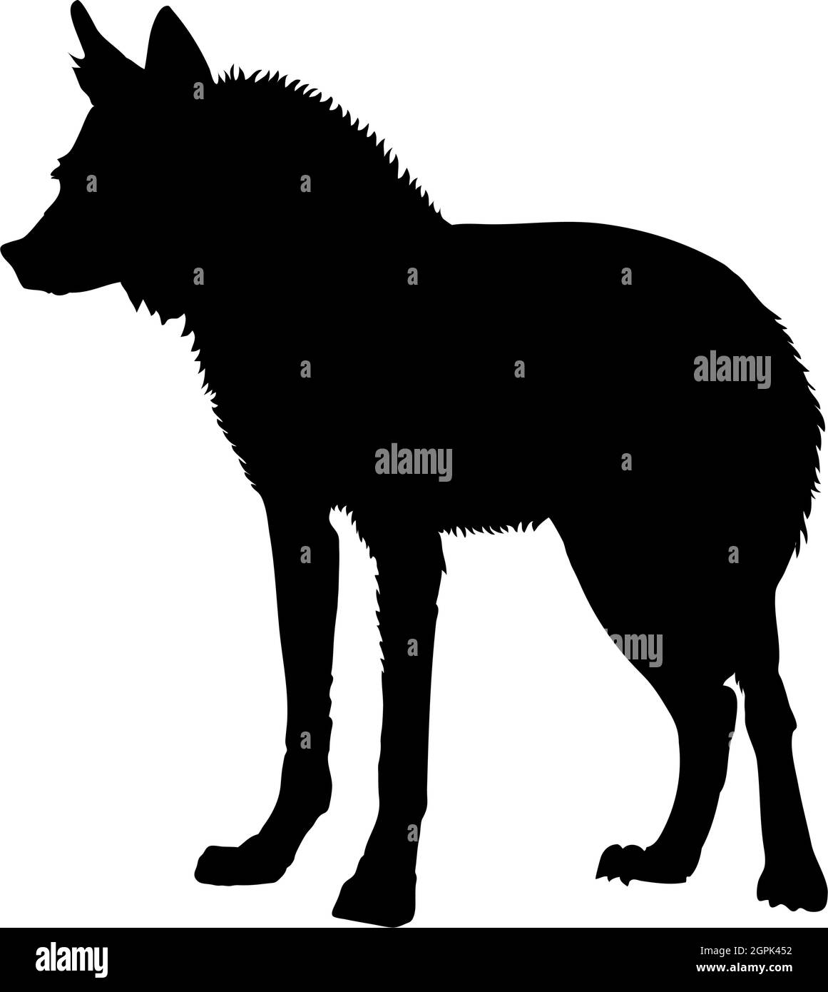 Silhouette de loup à motif de maned Illustration de Vecteur