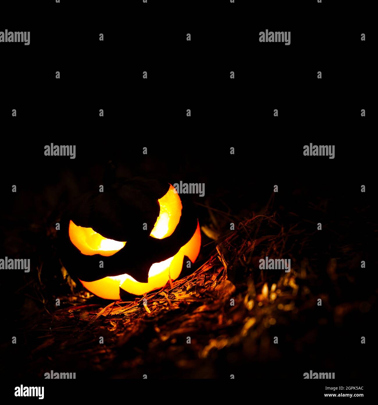 Halloween citrouille Jack o Lanterne illuminant la nuit avec espace vide au-dessus pour le texte Banque D'Images