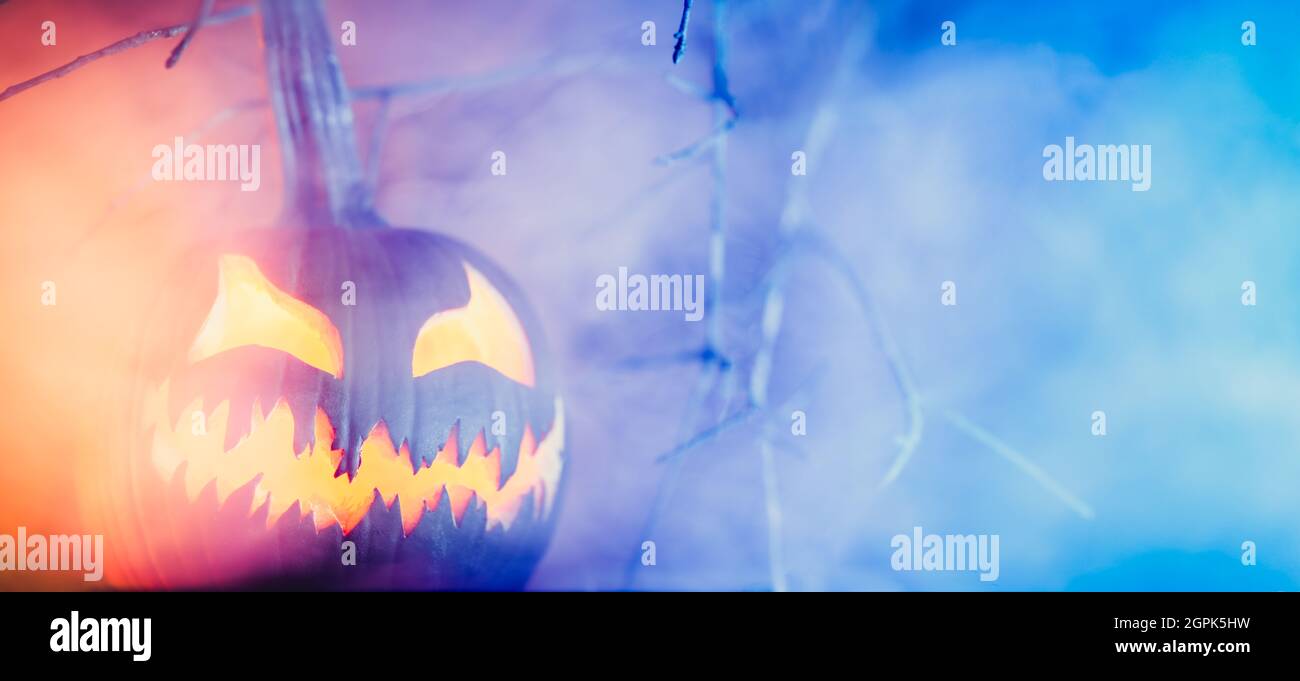 Citrouille de citrouille avec un visage effrayant sculpté dans le brouillard le soir d'Halloween. Copier l'espace pour le texte. Banque D'Images