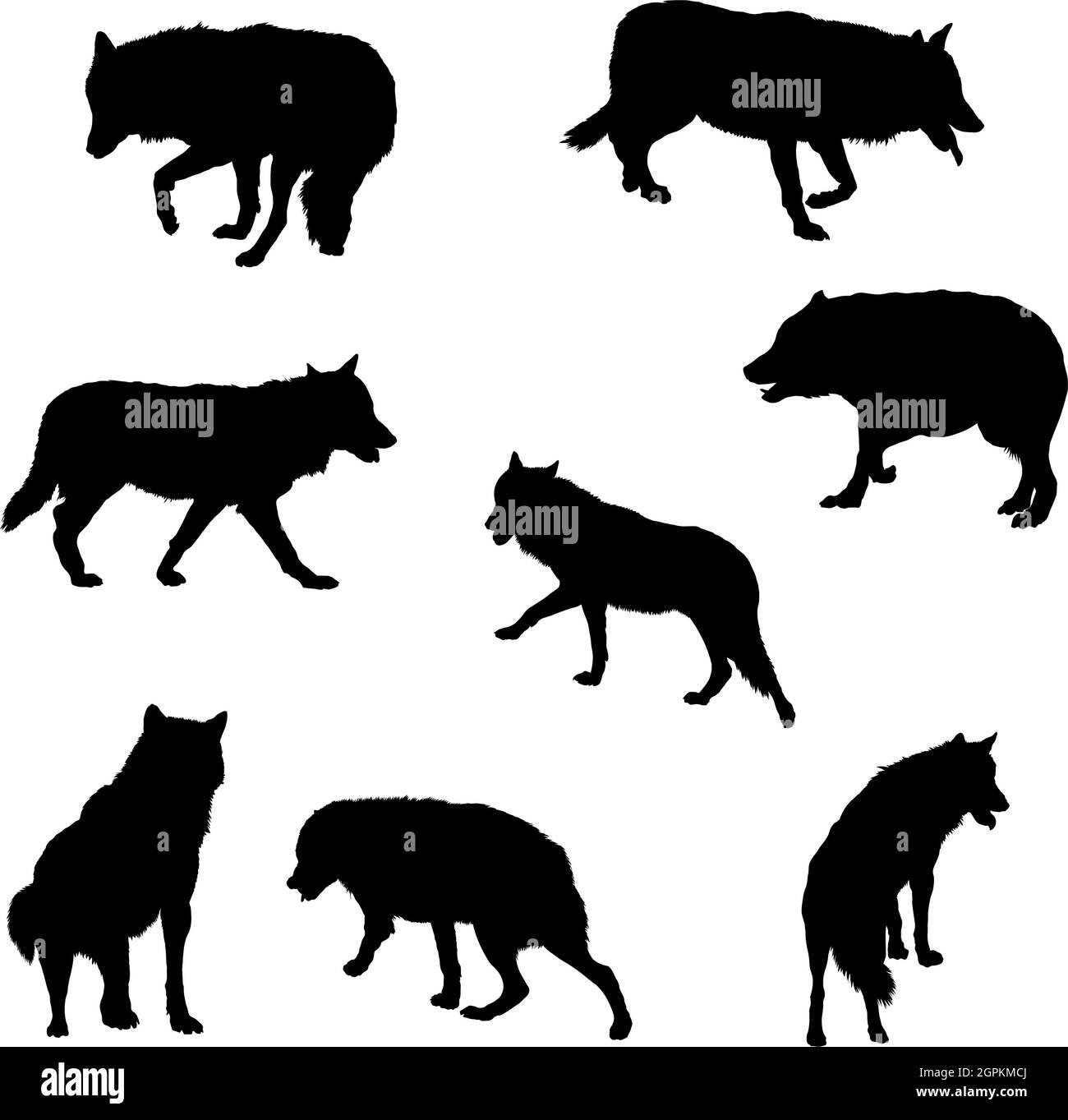 Ensemble silhouette de loup Illustration de Vecteur