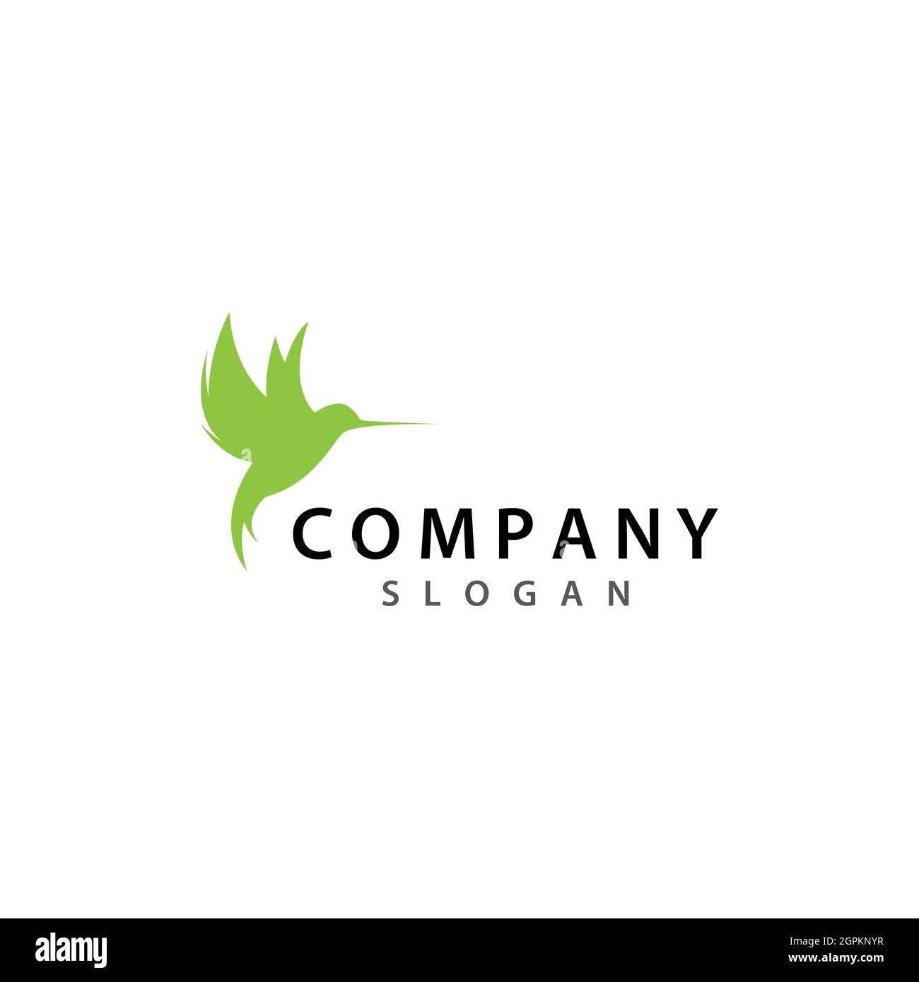 Modèle de logo oiseau motif vectoriel d'icône Banque D'Images