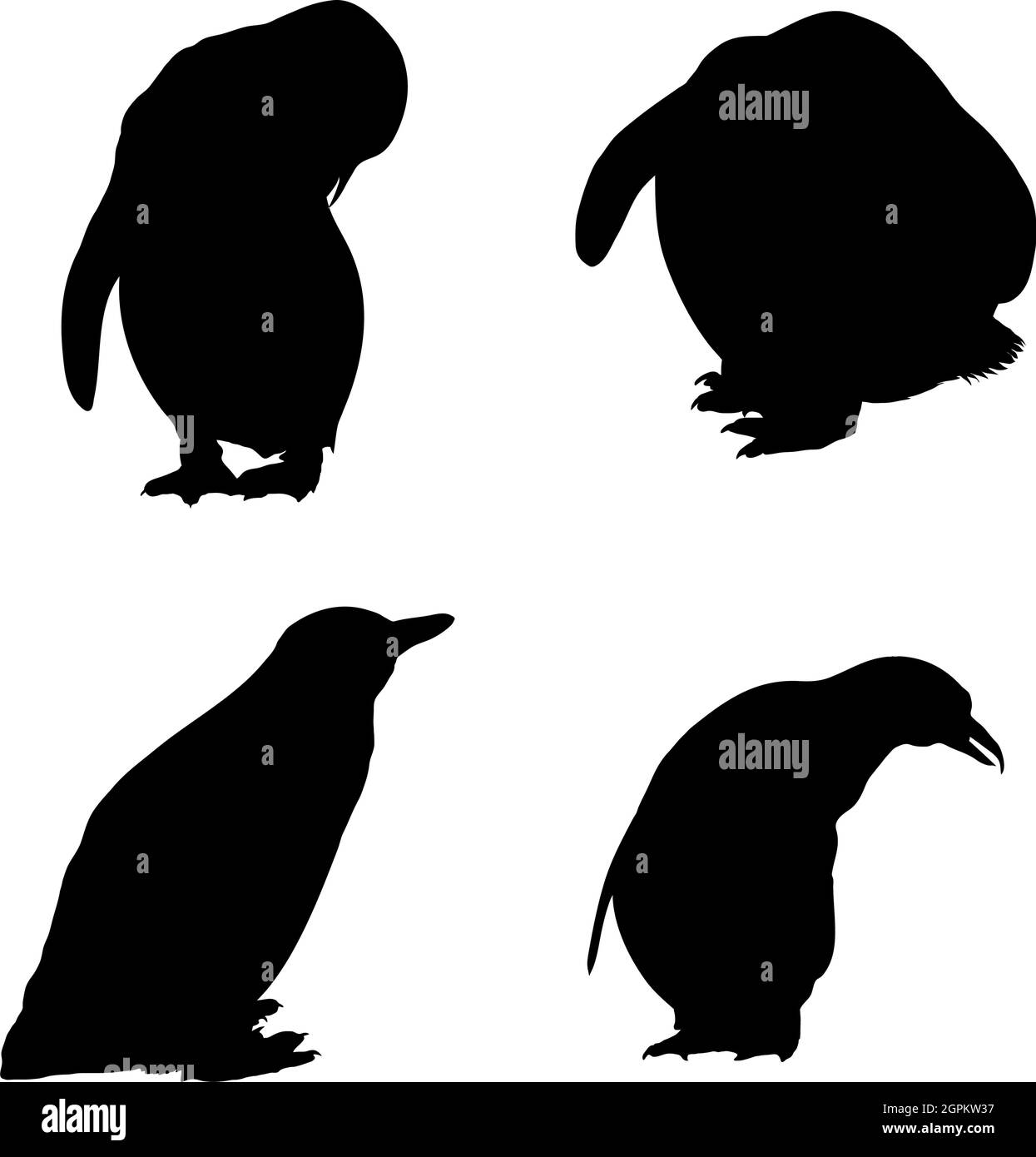 Ensemble silhouette de pingouin Illustration de Vecteur