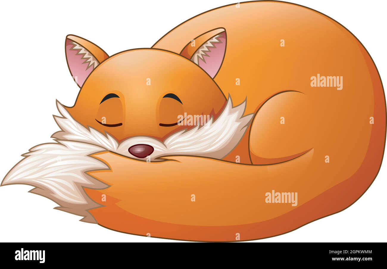 Illustration vectorielle de dessin animé de renard mignon dort Illustration de Vecteur