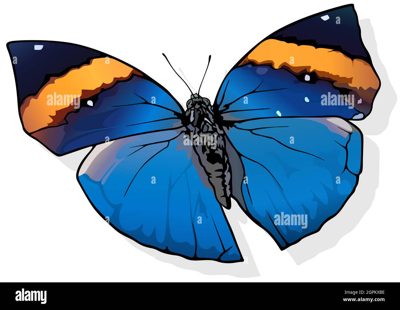 Papillon à feuilles de chêne orange Illustration de Vecteur