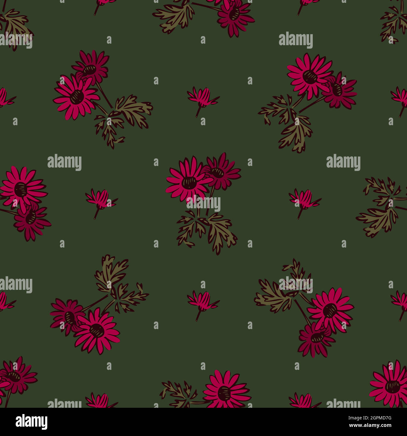 Fleurs de chrysanthème, fleur en couleurs roses, motif floral sans couture, vecteur d'arrière-plan abstrait nature. Dessin au trait, illustration botanique, motif graphique, tissu. Papier peint vert tendance Illustration de Vecteur