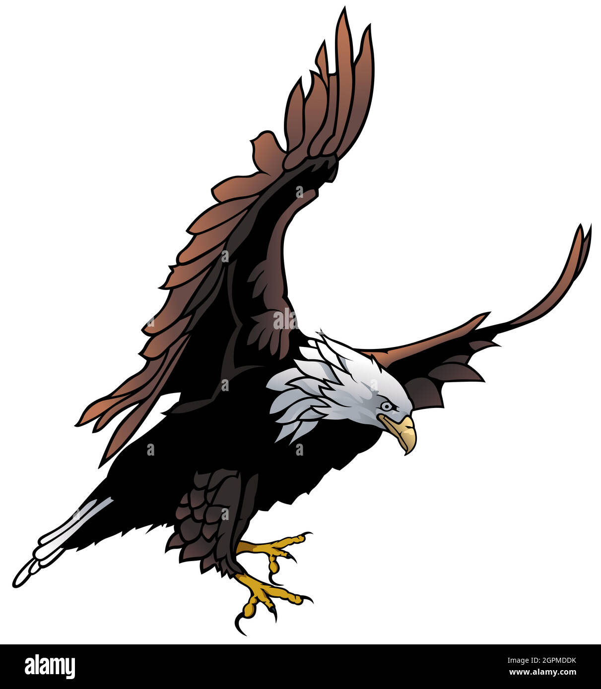 Pygargue à tête blanche volant Illustration de Vecteur