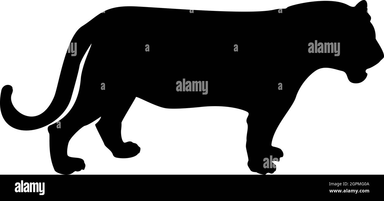 Silhouette tigre noir couleur vecteur illustration image de style plat Illustration de Vecteur