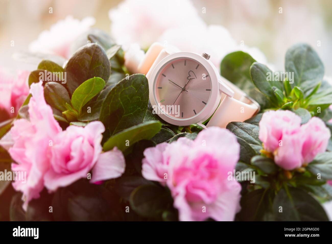 Regardez Les Fleurs Des Poignets Carte De Vœux Pastel Pour La Saint Valentin La Fete Des Femmes La Fete Des Meres Le Concept De Romance Tendresse Amour Manifestation De F Photo Stock