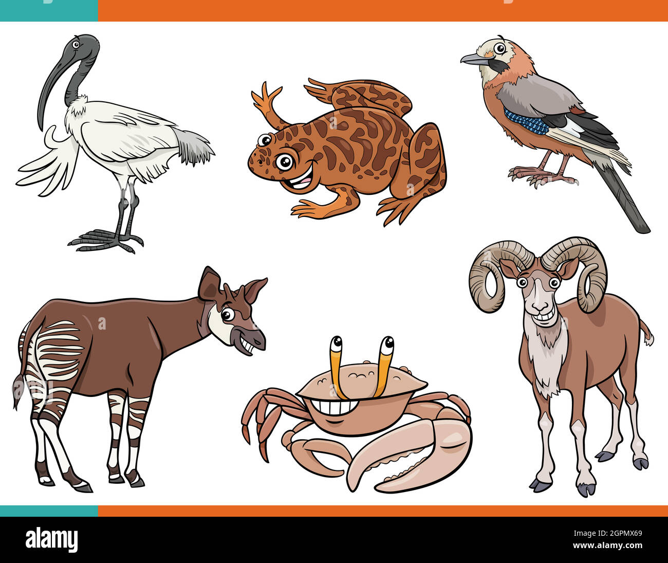 caricature animaux drôle personnages comiques ensemble Illustration de Vecteur