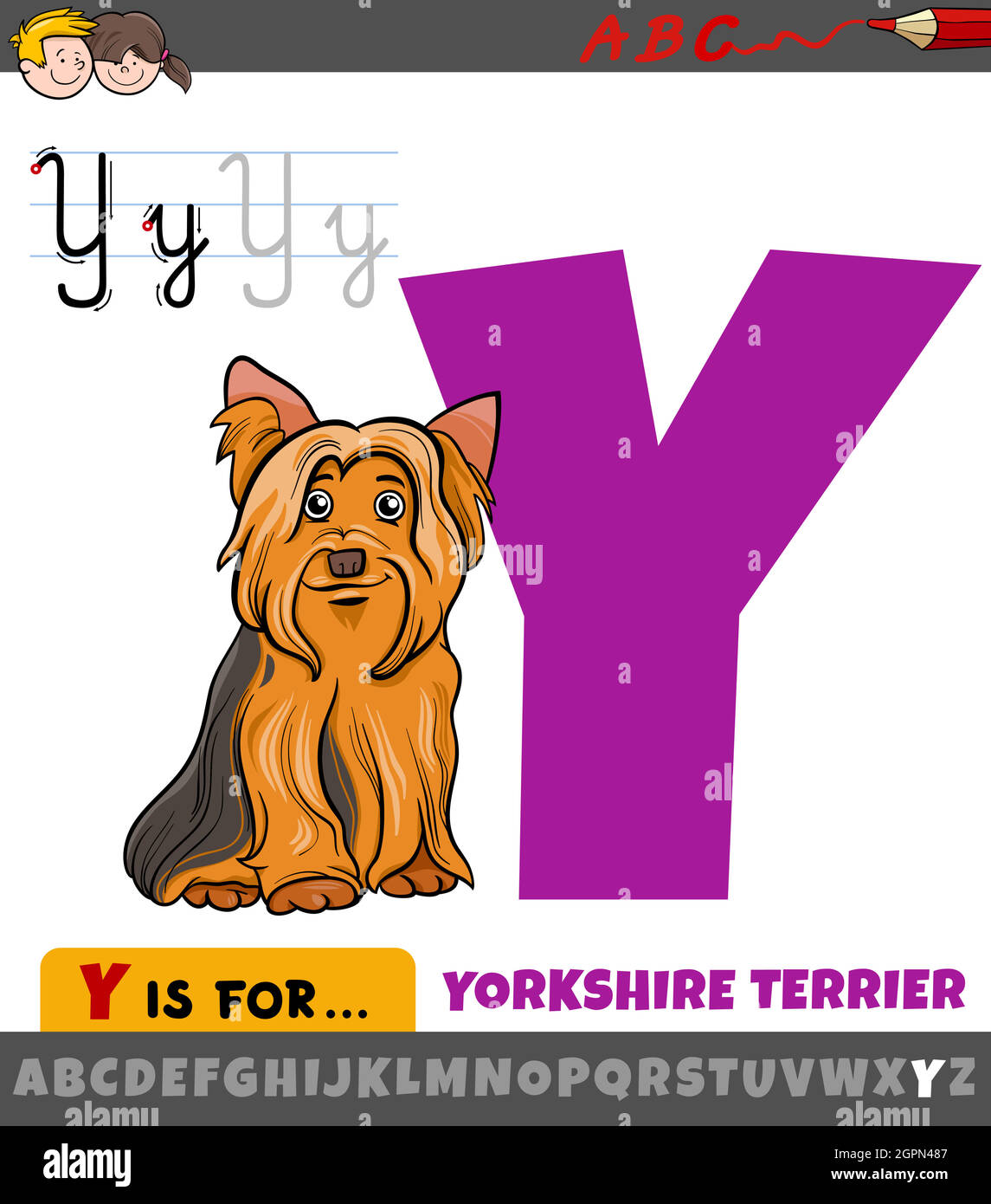 Lettre y de l'alphabet avec dessin animé Yorkshire terrier Illustration de Vecteur