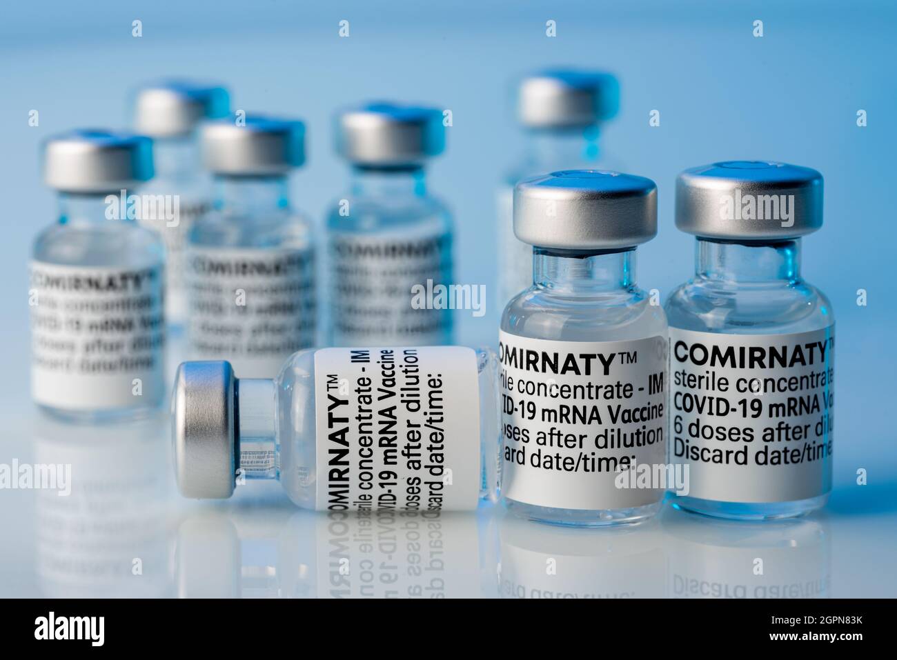 TURIN, ITALIE, le 24 SEPTEMBRE 2021 : flacons de Comirnaty pour vaccins Pfizer-BioNTech COVID-19, flacons de vaccins originaux en vue d'un contexte flou Banque D'Images