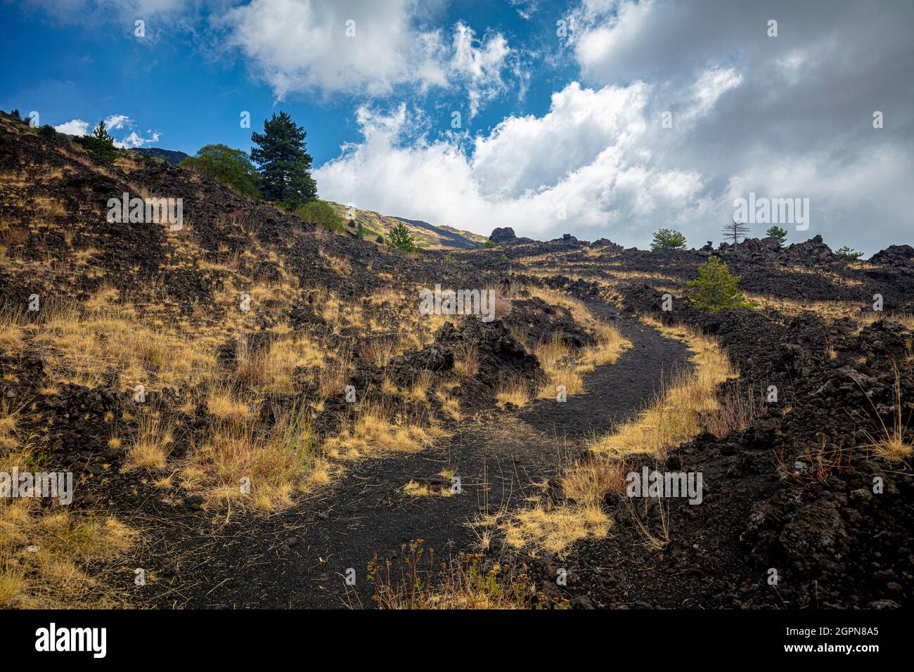 Sentier nature sur l'Etna. Sicile Banque D'Images