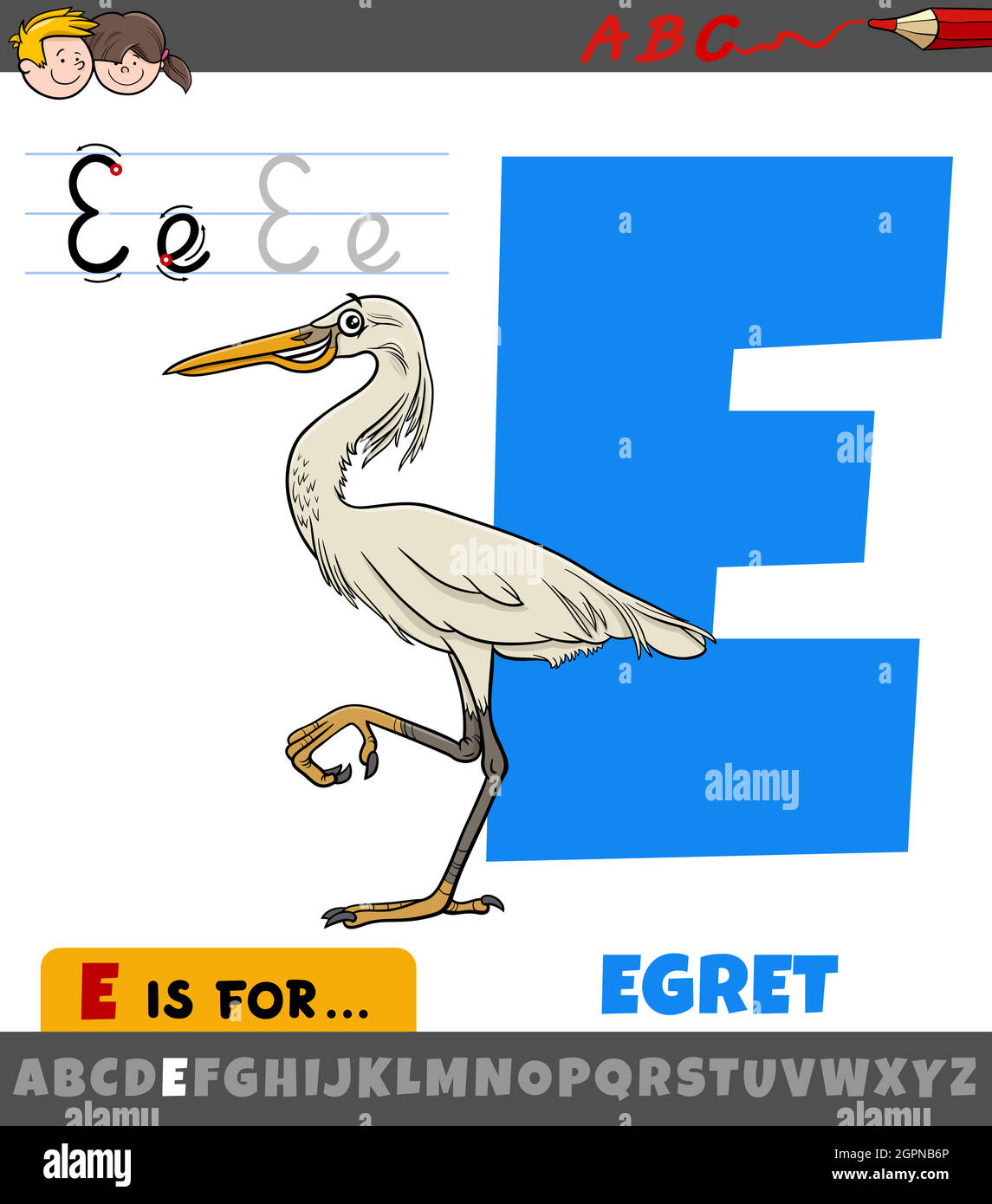 Lettre E de l'alphabet avec personnage animal d'oiseau d'aigrette de bande dessinée Illustration de Vecteur