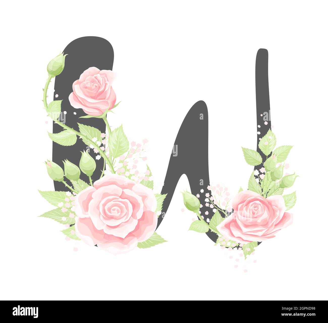 Lettre W de l'alphabet floral vectoriel avec fleurs roses crème et feuilles vertes Illustration de Vecteur