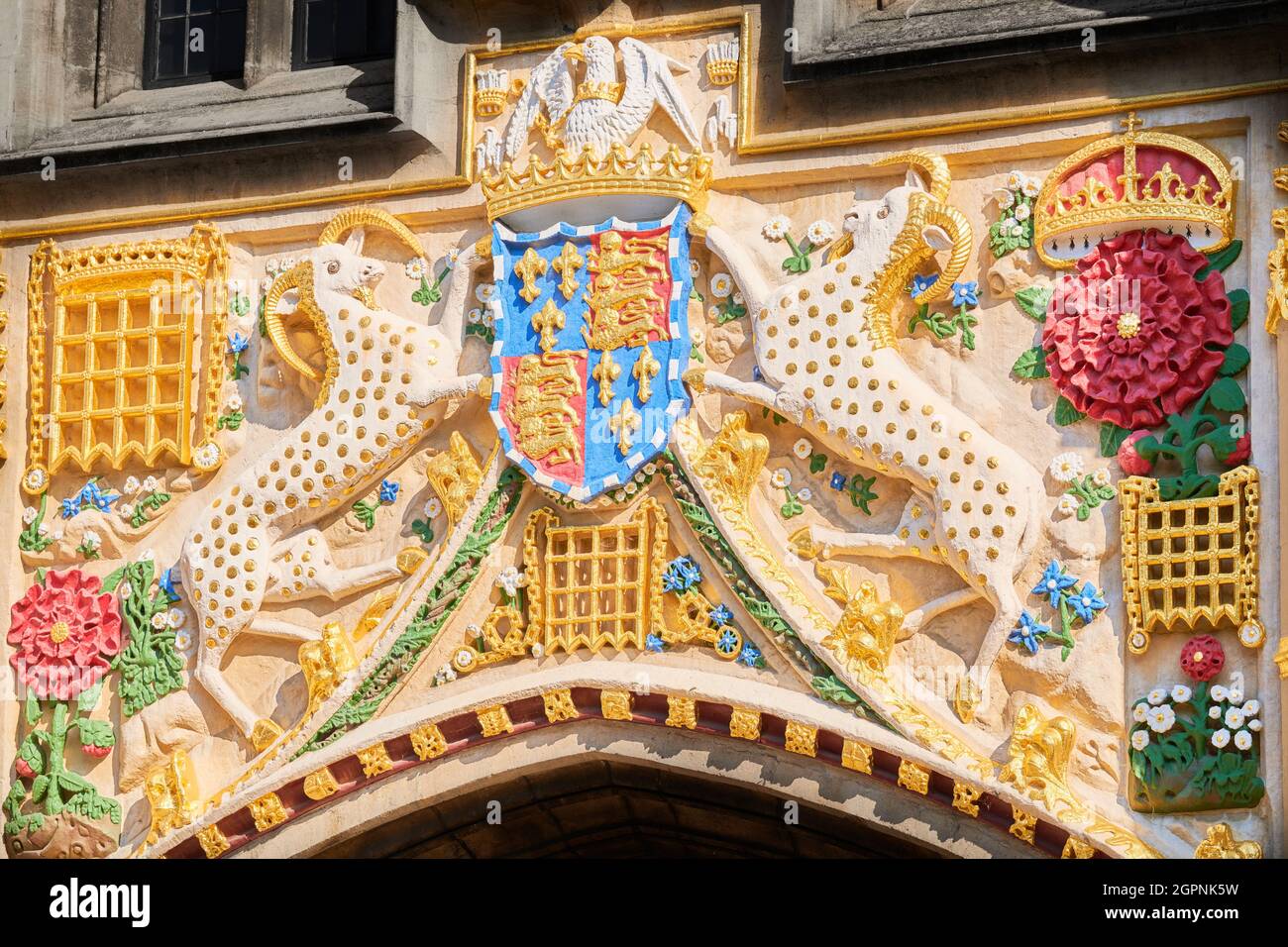 Les armoiries colorées de tudor au Christ College, université de Cambridge, en Angleterre, en l'honneur de la fondatrice, Lady Margaret Beaufort. Banque D'Images